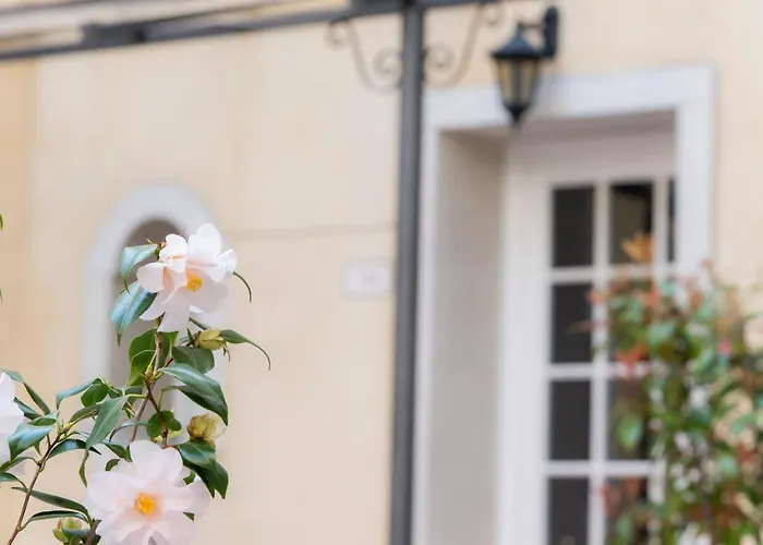 酒店 卡尔顿大运河酒店