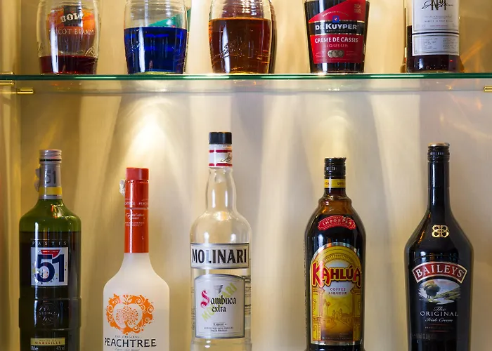 酒店 卡尔顿大运河酒店 4*