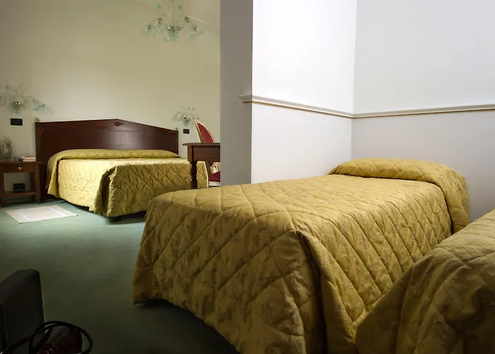 酒店 卡尔顿大运河酒店 威尼斯