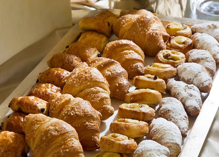 卡尔顿大运河酒店 4*